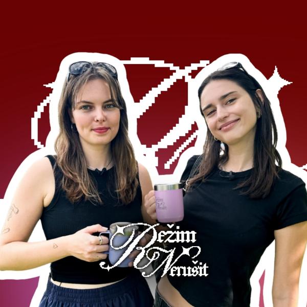 Režim nerušit